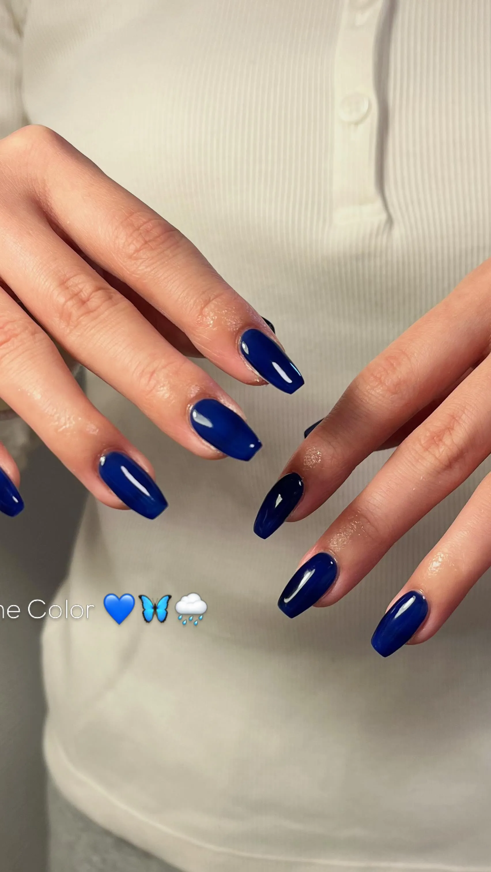 ワンカラー💙🦋🌧